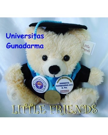Boneka Wisuda Universitas Gunadarma - Psikologi (25 cm)
